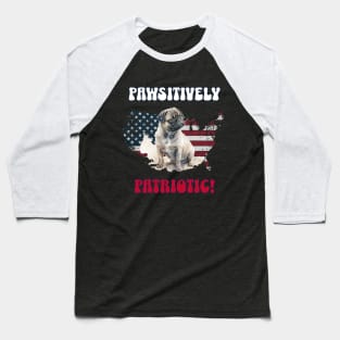 4th of July Independence Day Patriotic Pug Funny Design for Dog Lovers Baseball T-Shirt